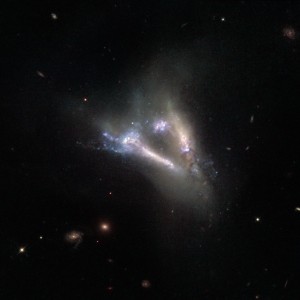This large “flying V” is actually two distinct objects — a pair of interacting galaxies known as IC 2184. Both the galaxies are seen almost edge-on in the large, faint northern constellation of Camelopardalis (The Giraffe), and can be seen as bright streaks of light surrounded by the ghostly shapes of their tidal tails.