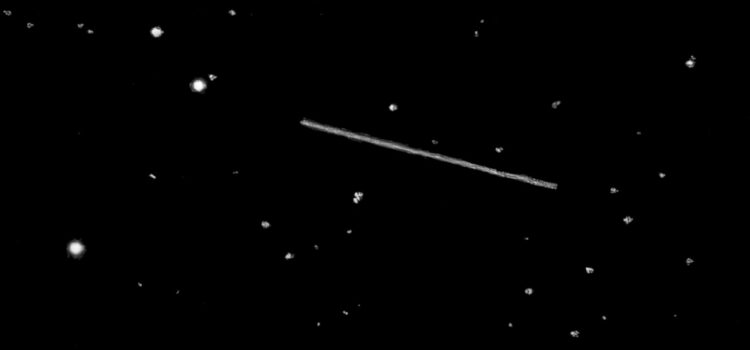 Alex Schmid and Joe Carr honoured (308635) 2005 YU55”: A 30-second image of 2005 YU55 taken on 2011 November 9 from the Camarillo Observatory, California. At the time, the object was inside the orbit of the Moon and moving at 463″/min. (Image courtesy of John Rogers)