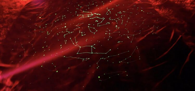 Gloving star map blanket and red lights