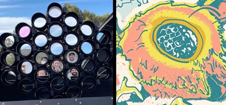 MOTHRA telescope array